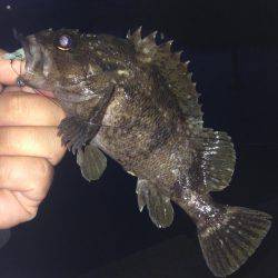 垂水漁港！！ガシリング