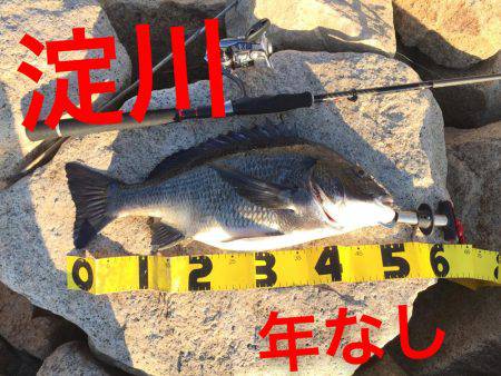 出た！淀川チヌ年なし！