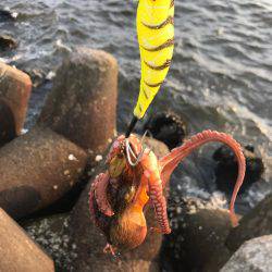 先週から、どうなったかな？