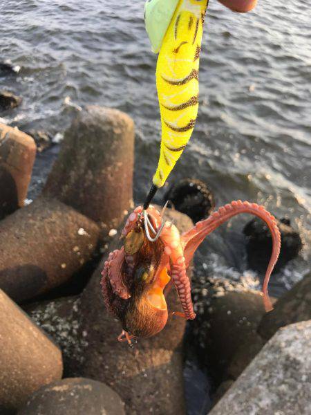 先週から、どうなったかな？