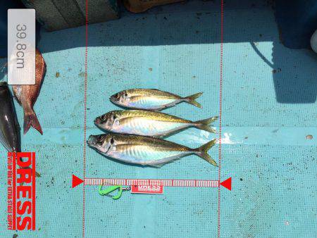 鯛ラバチャレンジ！＆ギガアジ！