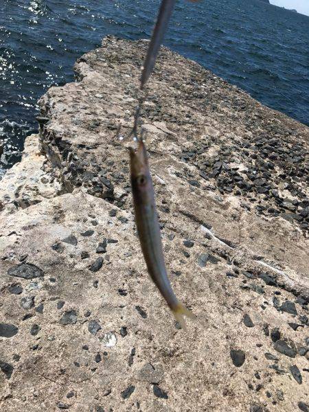 ライトショアジギング