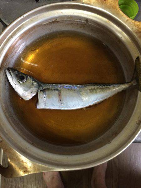 タコ釣りのはずが・・