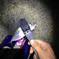 フロートアジング