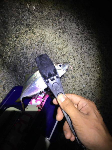 フロートアジング