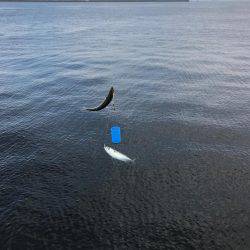 サビキIN四日市港 昼