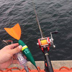 海の日凱旋ならず。