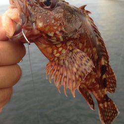 アジュール舞子でガシリング！！