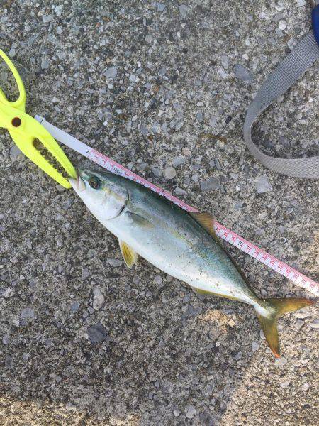 食ってくれた感のみ