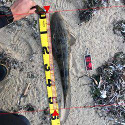 夕まずめIN鈴鹿サーフ