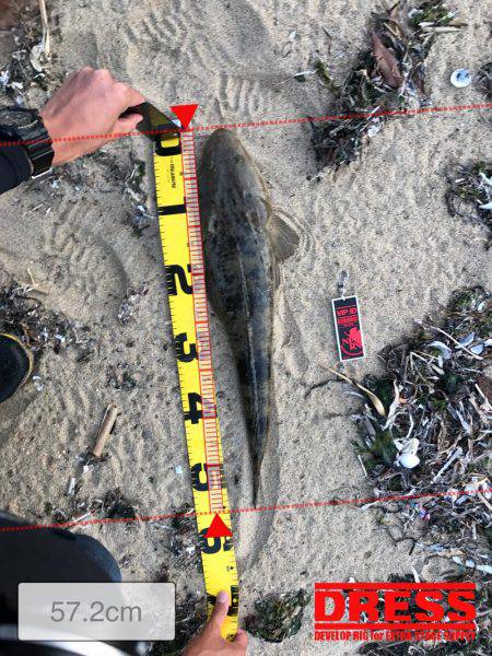 夕まずめIN鈴鹿サーフ