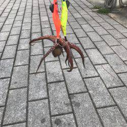 出勤前のタコ活