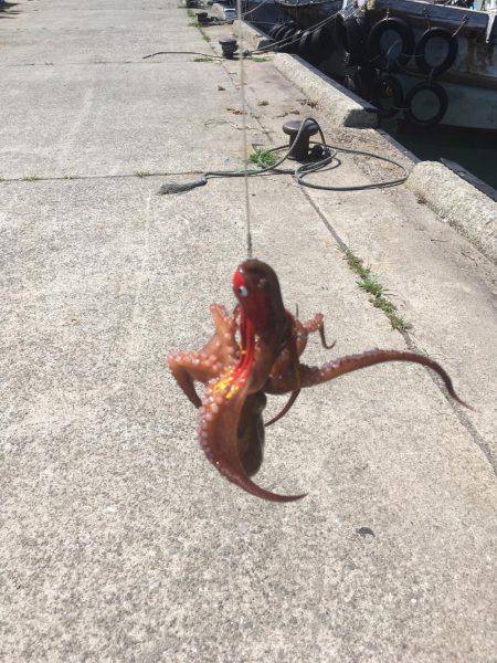 オクトパッシング