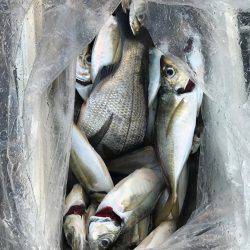 絶品 メクリアジ