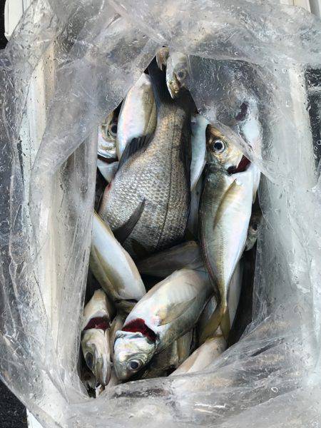 絶品 メクリアジ