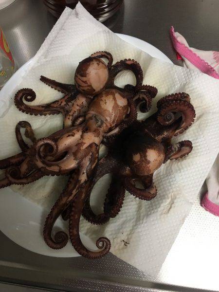 ロックのちオクトパス