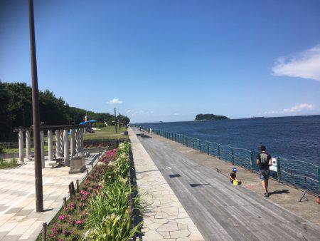 遠征ファミリーフィッシング