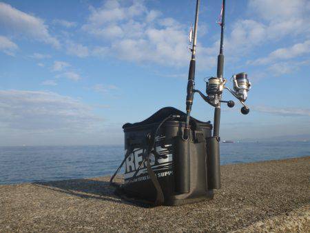 マッチ ザ ベイト⁈