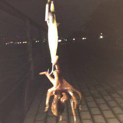 ナイト＆デイタコゲーム