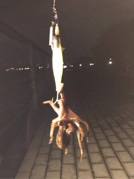 ナイト＆デイタコゲーム