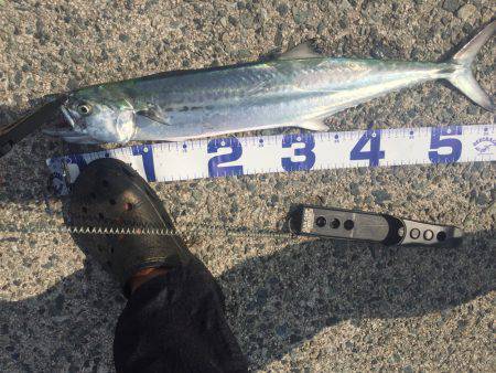 スーパーライトショアジギング