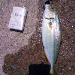 バラシまくり(´・д・`)