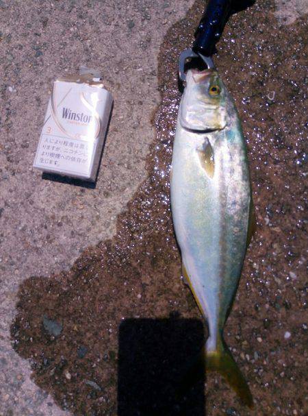 バラシまくり(´・д・｀)