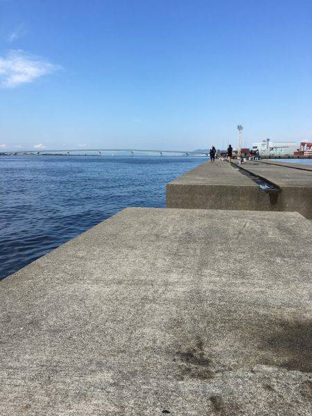 ツバス撃沈…ポーアイ沖堤 タコは釣れます