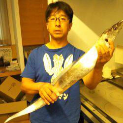 シーズン到来?タチウオ