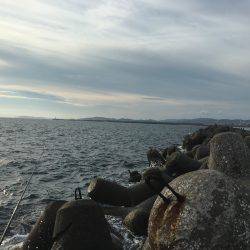 ライトショアジギング