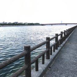 ナイトオクトパッシング