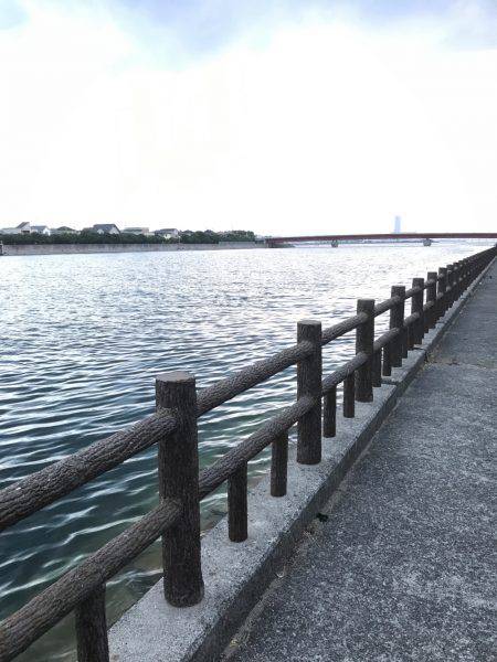 ナイトオクトパッシング