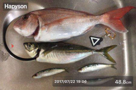 初 落とし込み釣り