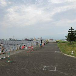 ジグサビキ&タコゲーム