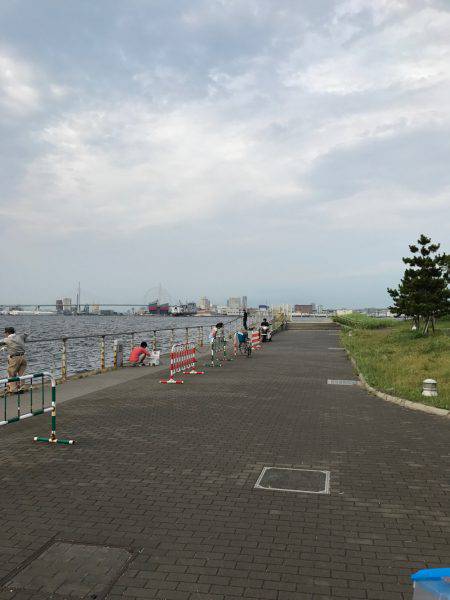 ジグサビキ&タコゲーム