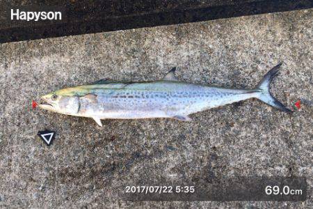 ツバス狙いのはずが