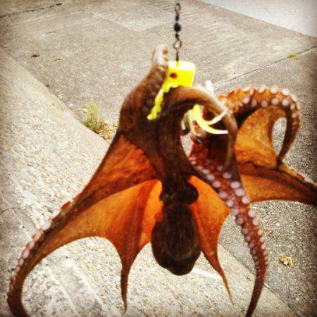 オクトパッシング