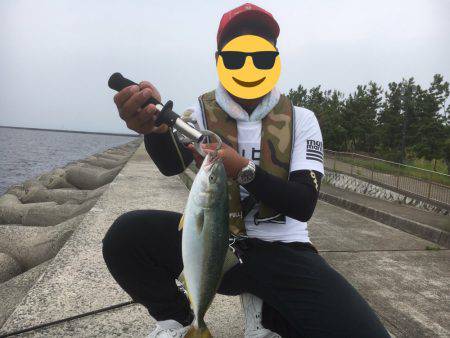 青物、タチウオ、シーバス狙い