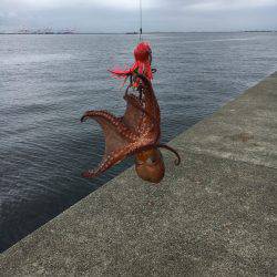 オクトパッシング&ジグサビキ&ショアジギ