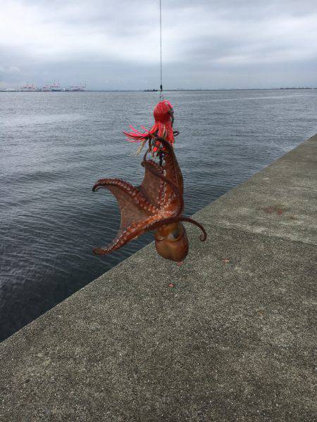 オクトパッシング&ジグサビキ&am…