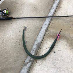 チヌポッパーIN宮川