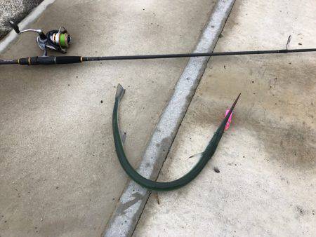 チヌポッパーIN宮川