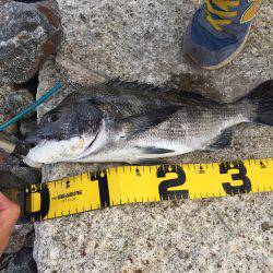 宮川トップチヌ