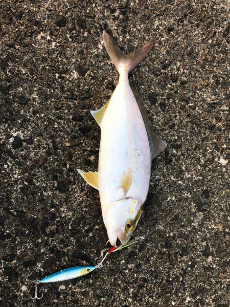 入野漁港周辺にて