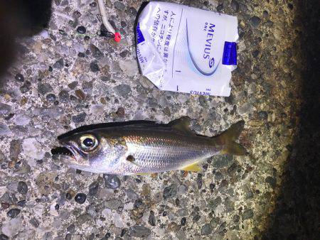 うみかぜ公園、初チャレンジ！