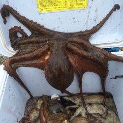 リベンジ出来ました(^ ^)