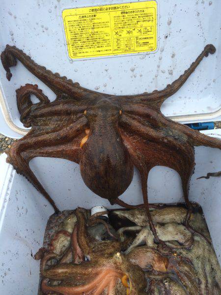 リベンジ出来ました(^ ^)