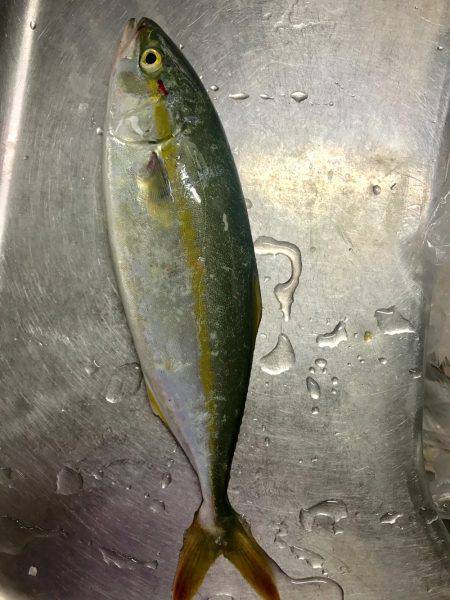 メタルマルでつばす