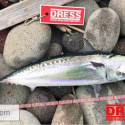 初ライトショアジギング