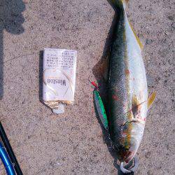 折れた(´・д・｀)